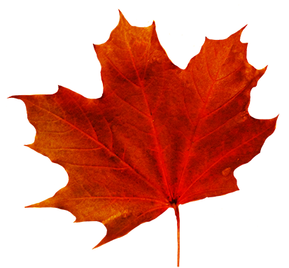 Decorative fall leaf