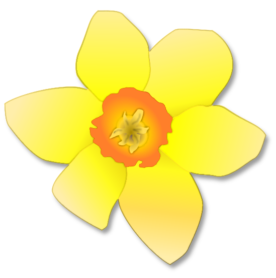 Flower Art